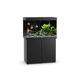JUWEL AQUARIUM RIO 290 ZWART LED